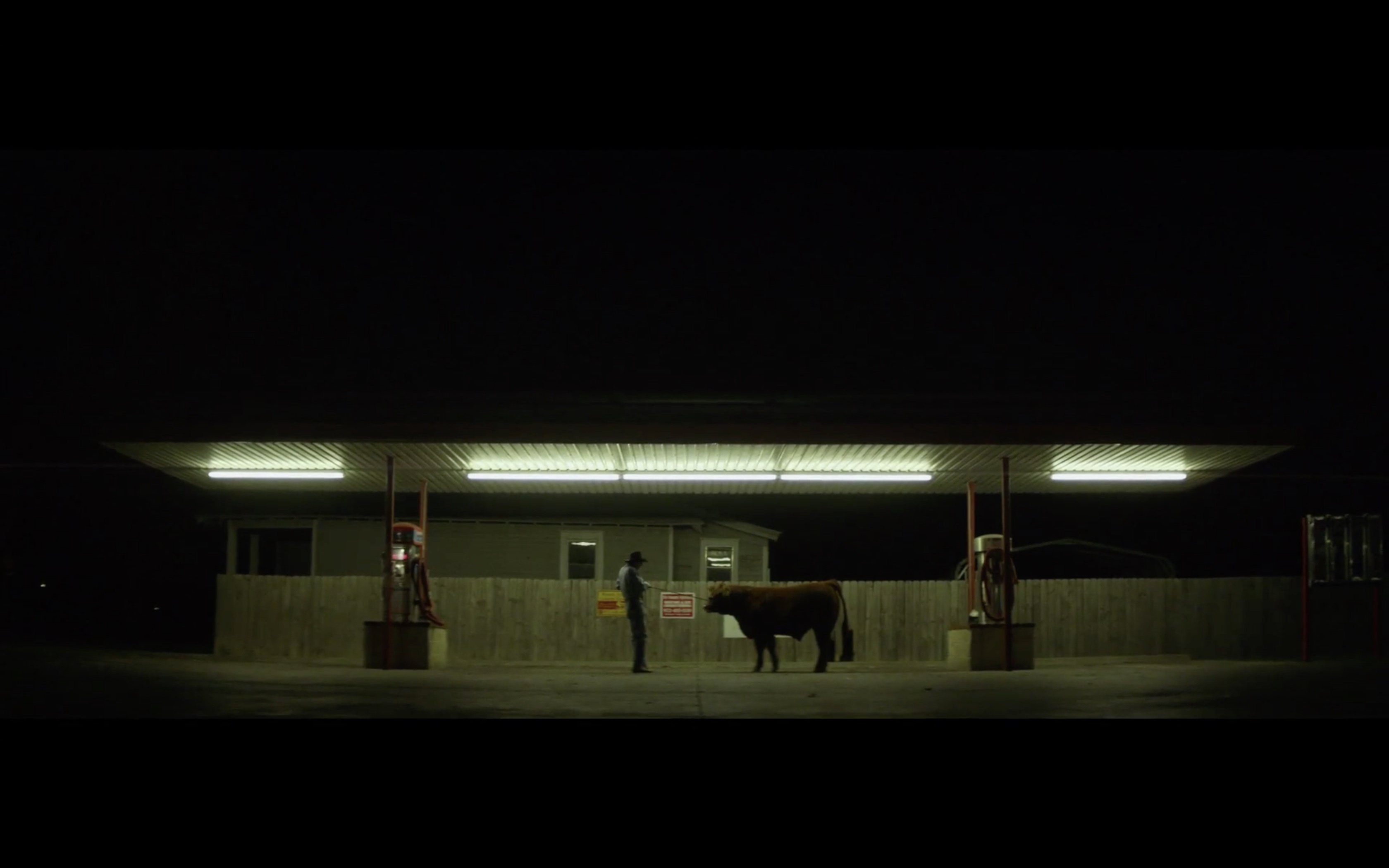 Wild Souls In The Hot Blind Earth