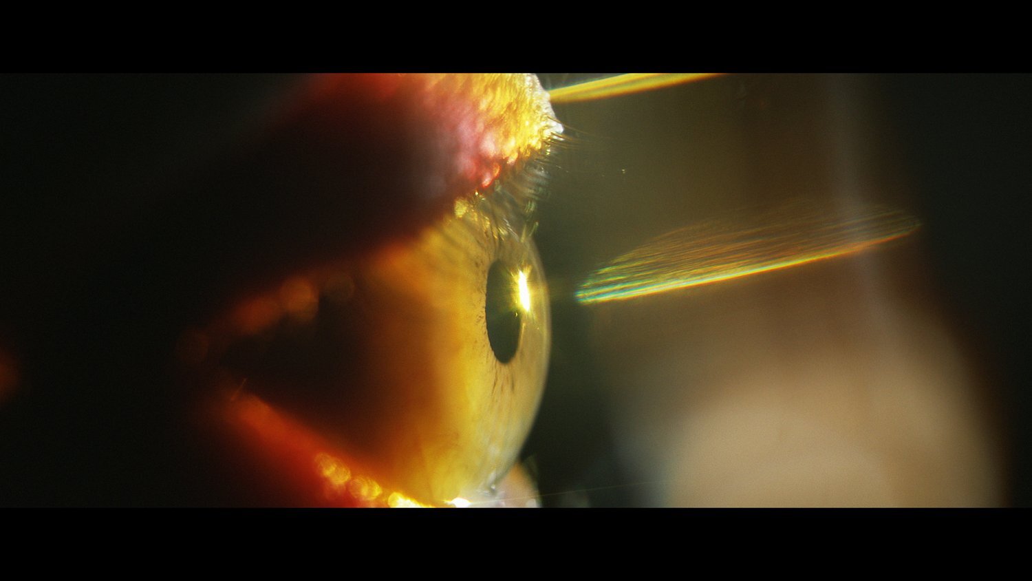 Be There Without Being There