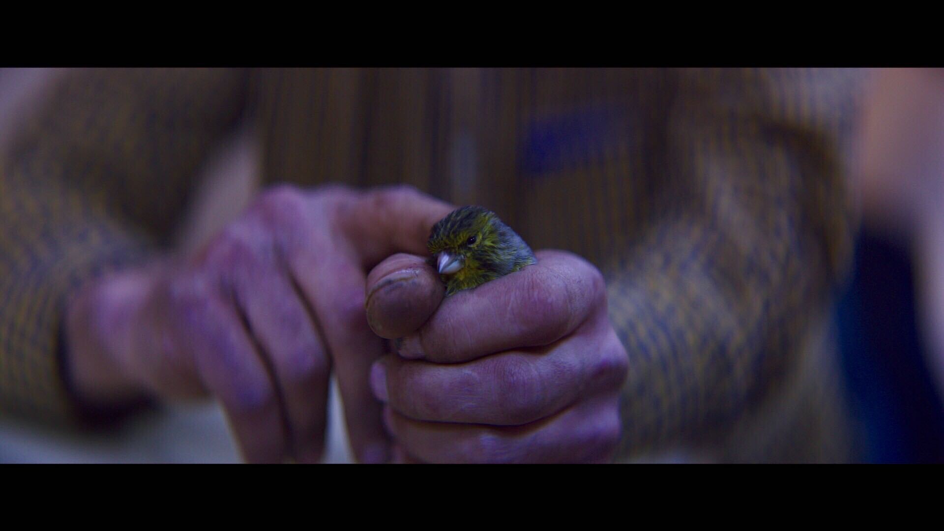 On The Nature Of Daylight