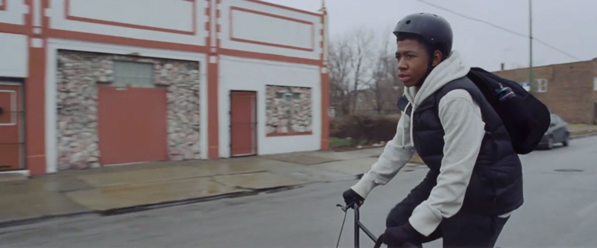 Rose from the Concrete